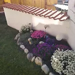 Nagy 인스브루크
